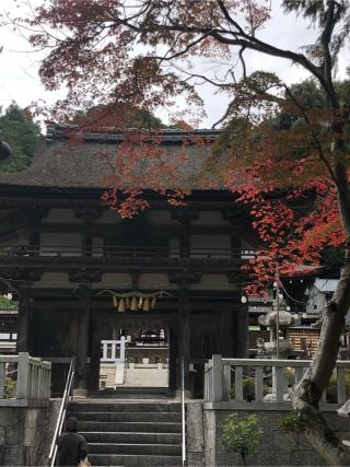 大野神社の参拝記録(ヒデさん)