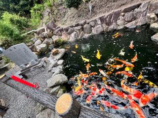 大野神社の参拝記録(HIROROさん)