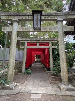 野々宮神社の参拝記録(xiao-chiさん)