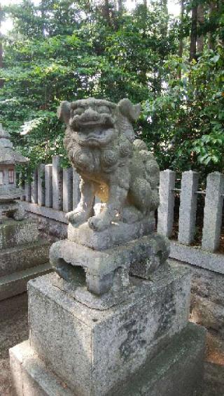 野々宮神社の参拝記録(たつきちさん)