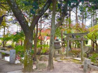 御沢神社の参拝記録(qo_opさん)