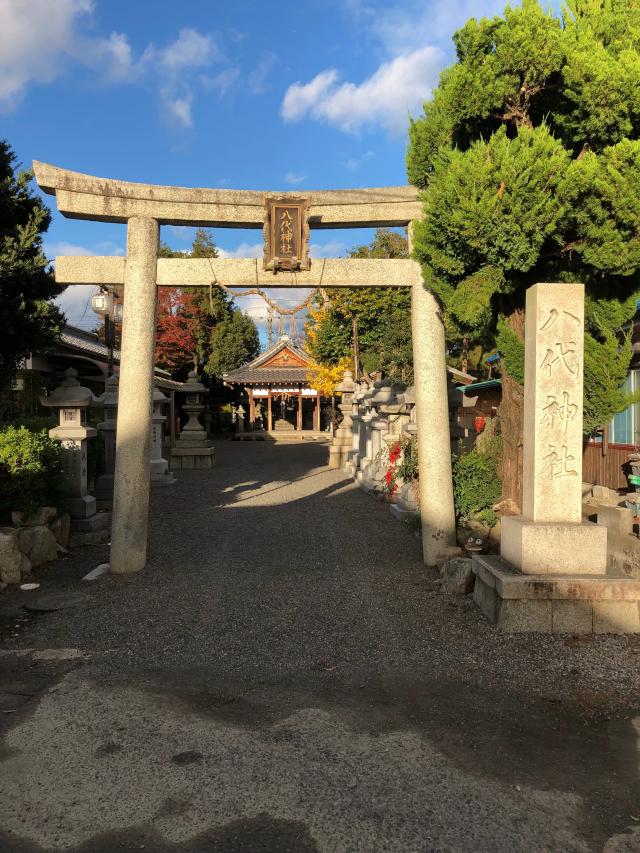 滋賀県守山市下之郷町246 八代神社の写真1