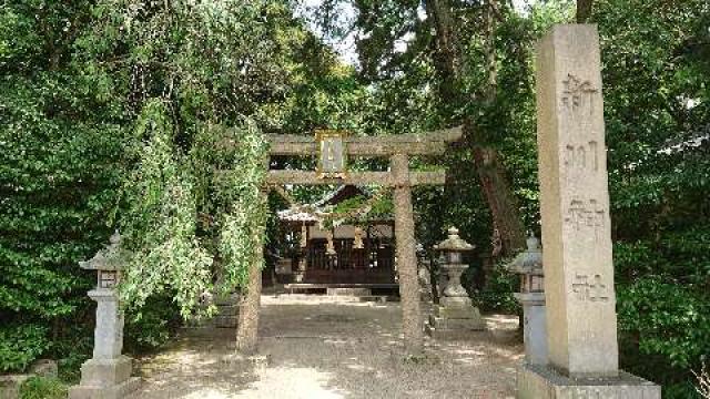 滋賀県守山市立入町123 新川神社の写真1
