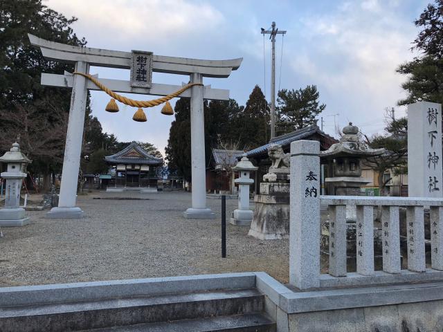 滋賀県守山市水保町1549 樹下神社の写真1