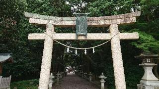 新川神社の参拝記録(のぶちゃんさん)