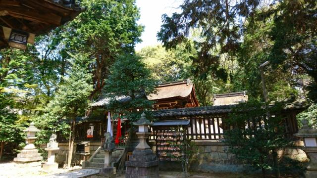 滋賀県野洲市小篠原768-1 稲荷神社（小篠原稲荷神社）の写真1