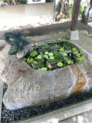 立志神社の参拝記録(JAMさん)