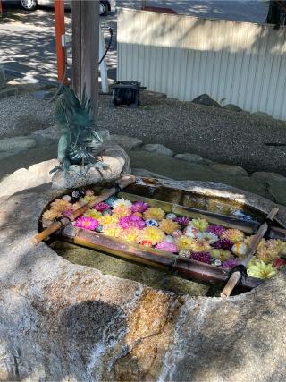 立志神社の参拝記録(かまちゃんさん)