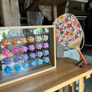 立志神社の参拝記録(さくらさん)