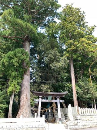 若宮神社の参拝記録(JAMさん)