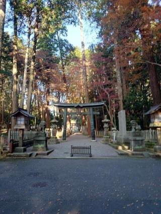 田村神社の参拝記録(おざりんさん)