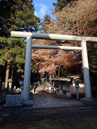 田村神社の参拝記録(おざりんさん)