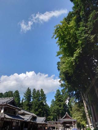 田村神社の参拝記録(かいちゃんさん)