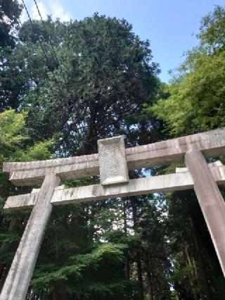 田村神社の参拝記録(かいちゃんさん)