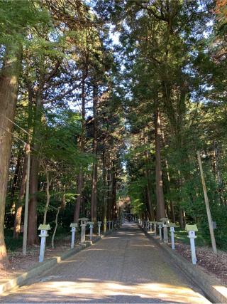 田村神社の参拝記録(はまちゃんさん)