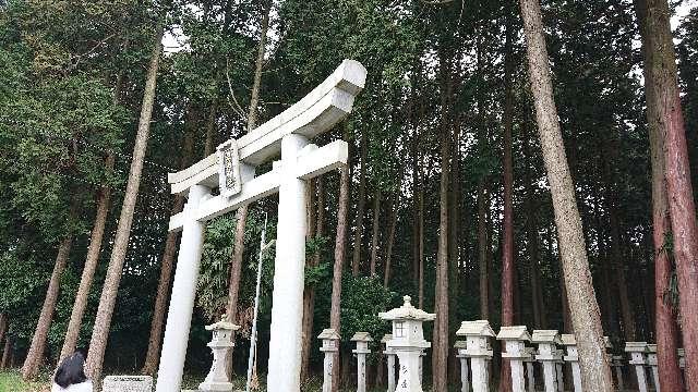 瀧樹神社の参拝記録7