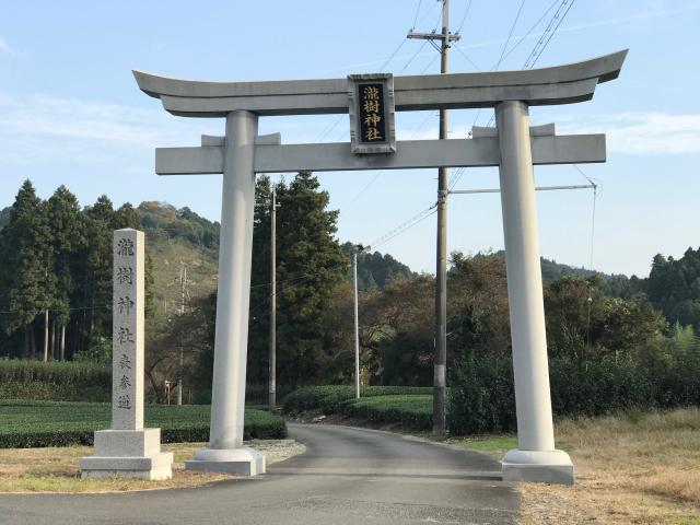 瀧樹神社の参拝記録9