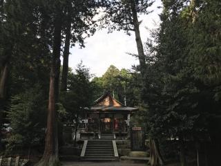 瀧樹神社の参拝記録(じゃすてぃさん)