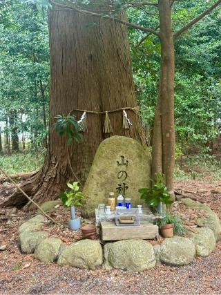 瀧樹神社の参拝記録(さくらさん)