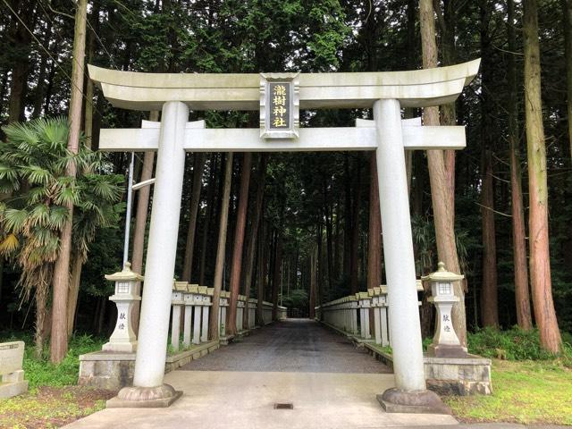 瀧樹神社の参拝記録6