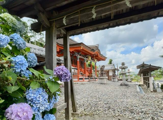 檜尾神社の参拝記録2