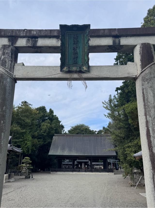 活津彦根神社の写真1