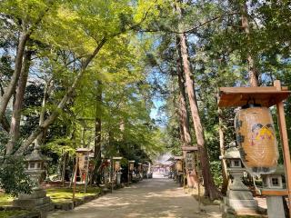 奥石神社の参拝記録(じゃすてぃさん)