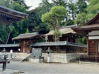 奥石神社の参拝記録(qo_opさん)