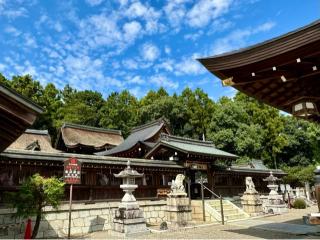 苗村神社の参拝記録(qo_opさん)