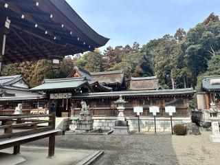 苗村神社の参拝記録(やよいさん)