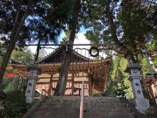眞氣神社の参拝記録(礼さん)