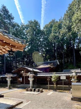 鏡神社の参拝記録(qo_opさん)
