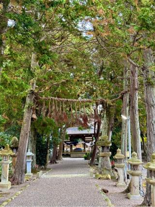 玉緒神社の参拝記録(qo_opさん)