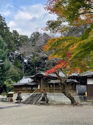 玉緒神社の参拝記録(qo_opさん)