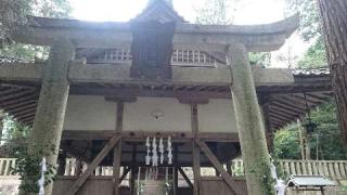 熊野神社の参拝記録(たくみさん)
