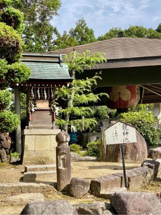 苗村神社の参拝記録(さくらさん)