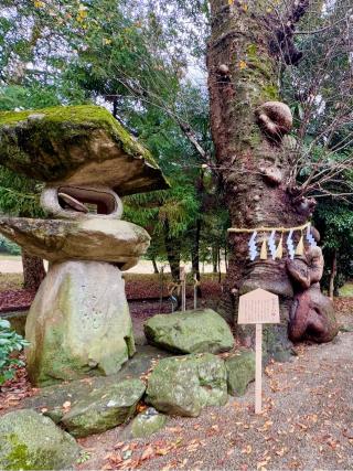 建部神社の参拝記録(qo_opさん)