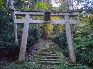 雨宮龍神社の参拝記録(たまりんさん)
