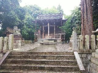 小幡神社の参拝記録(みどりさん)