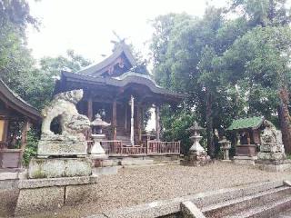 小幡神社の参拝記録(みどりさん)