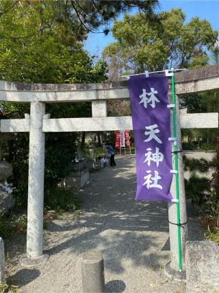 林天神社の参拝記録(げんさん)