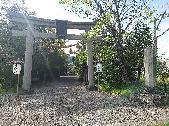 滋賀県東近江市林町637 林天神社の写真6