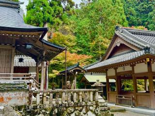 岩上神社の参拝記録(qo_opさん)