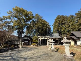 八坂日吉神社の参拝記録(あきちゃんさん)