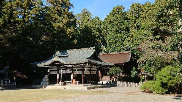 滋賀県東近江市北菩提寺町365 押立神社の写真3