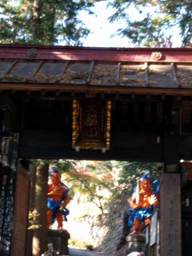 大鱗山雲洞院天龍寺(子ノ権現)の参拝記録1