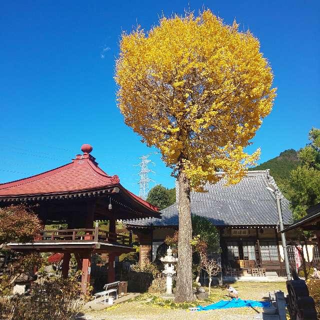 埼玉県飯能市白子260 清流山長念寺の写真2