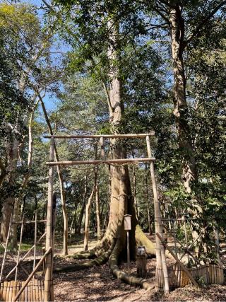 豊満神社の参拝記録(KUMIKOさん)