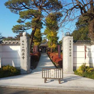 梅松山 圓光院 圓泉寺の参拝記録(しろぎすさん)