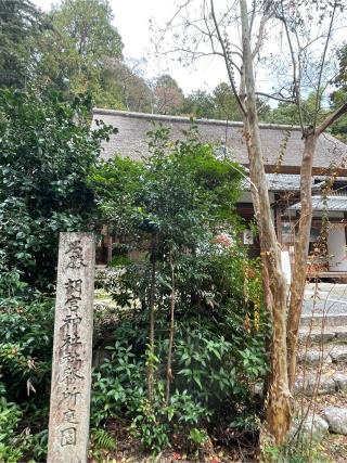 胡宮神社の参拝記録(かまちゃんさん)